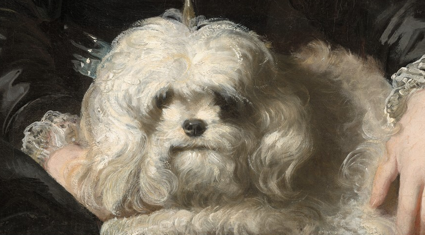 simena:Sir Joshua Reynolds (detail)