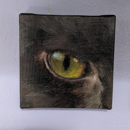 #inktober2019 Day 5 mini painting!. #paintingoftheday #paintingaday #petportrait #catpainting #cat