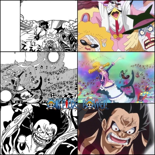 One Piece Chapter 4 Explore Tumblr Posts And Blogs Tumgir