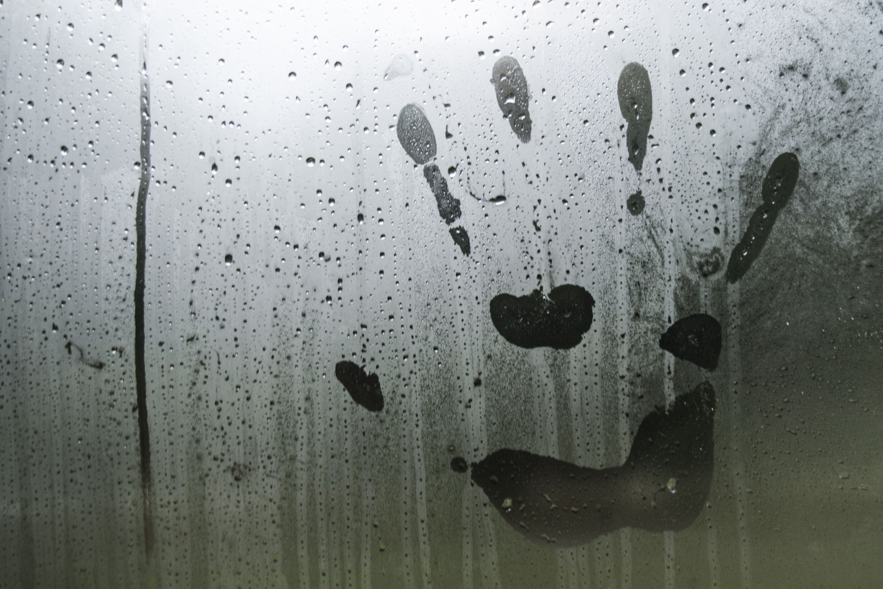 randompic:  taken by randompic 