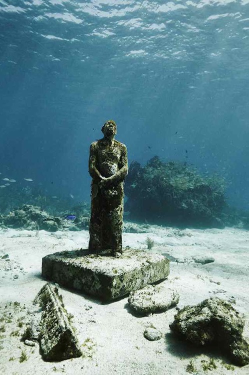 asylum-art:An Underwater Museum with SculpturesEn 2009, dans l’océan de Cancun, le sculpteur Jason deCaires Taylor a conçu une sorte de musée sous l’eau, en installant des sculptures quasi-mythologiques au milieu des requins. La photographe anglaise