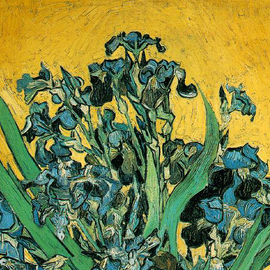 v-ersacrum:  Still lives of flowers by Vincent van Gogh (1853-1890) 
