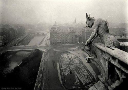 lamashtu666:  Amazing photo of a gargoyle at Notre Dame, circa 1920. Photograph by Pierre-Yves Petit