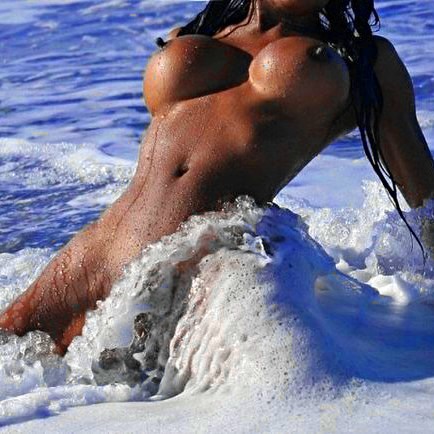 Wild Bikini