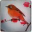 noortlet