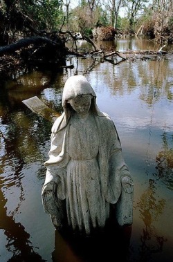 New Orleans, US. Hurricane Katrina, parish Saint Bernard, September 2005 (Donatien Garnier). Collectif Argos.