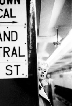 audreyandmarilyn:  Marilyn Monroe in New
