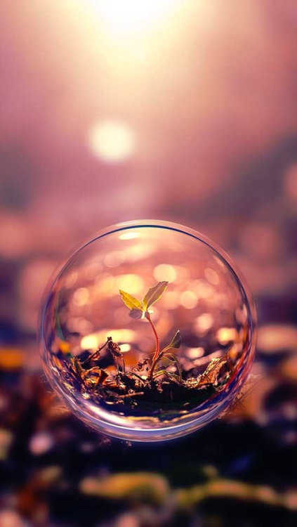 Besoin d'ailleurs