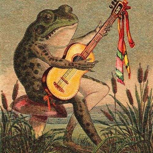 weirdchristmas:#frogtime(You guys like the banjo guy. I prefer guitar.)