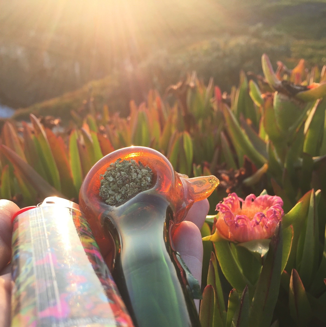 princessdabber: spontaneous trip to Santa Cruz, smoked on the cliffs and spotted