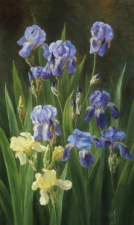 art-and-things-of-beauty:Anthonore Christensen (Danish, 1849-1926)  -  Irises flowers.