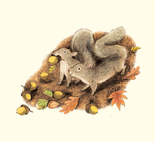 brionymaysmith: From ‘Little Goose’s Autumn’ published by Macmillan and written by