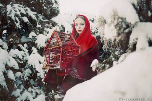 lamus-dworski:“Fairy Tales” cycle by the Polish photographer Paweł Adamiec.