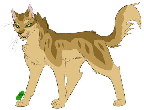 M.Jay Warriors Art! — 100 Warrior Cats Challenge 40 - Ravenpaw MY SON!