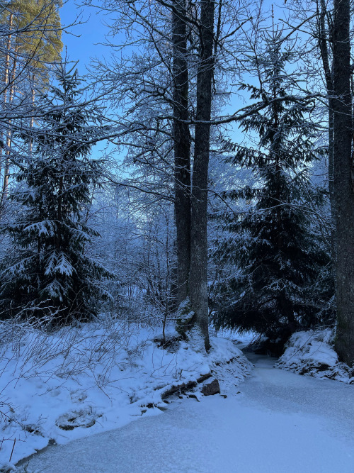 michaelnordeman:The stream in winter. 