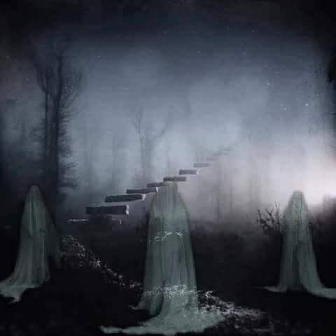 DARK&NESS..