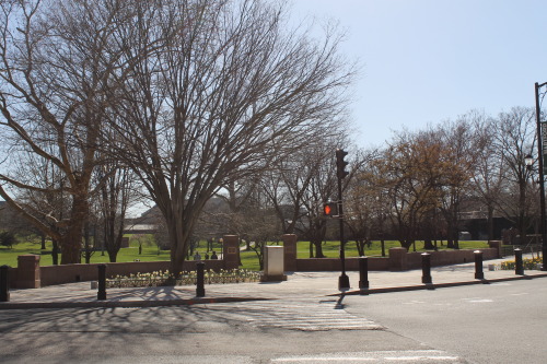 A sunny day in Bushnell Park.While I was taking this picture, a man walked up to the cross walk wher