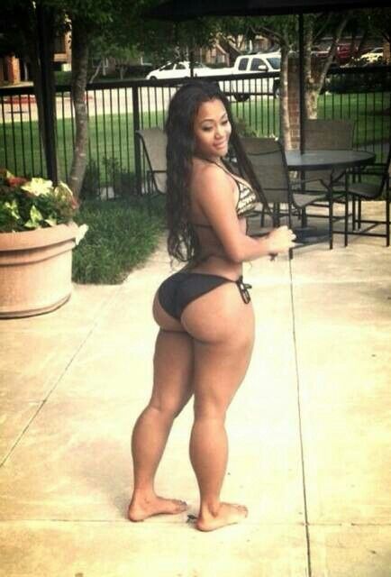 snow bunny 6622