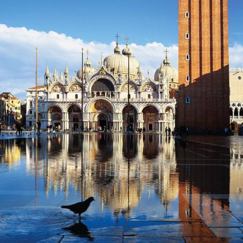 travelballoons: St Marco Square, Venice, Italy #stmarco #saintmarcosquare #duomo #cathedralsaintmarc