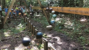 zerostatereflex:  Pendulum Wave DemonstrationPhysics is so relaxing to watch, :D