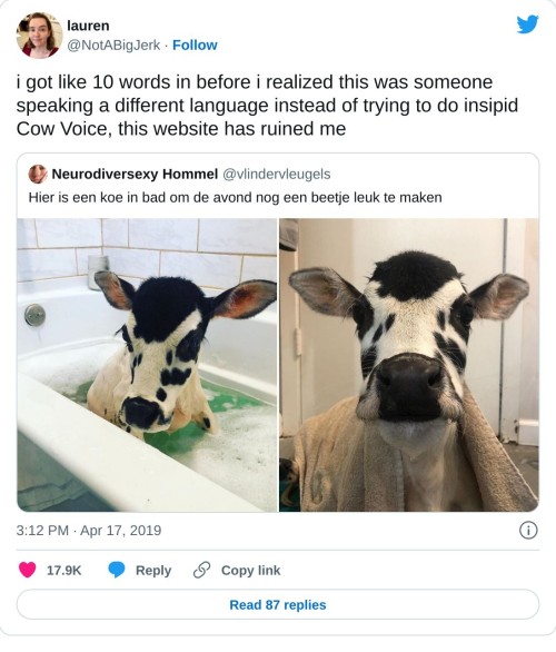 feliksvg:little-king-john:crazy-brazilian:ALTView on TwitterNo, Dutch is just Stupid