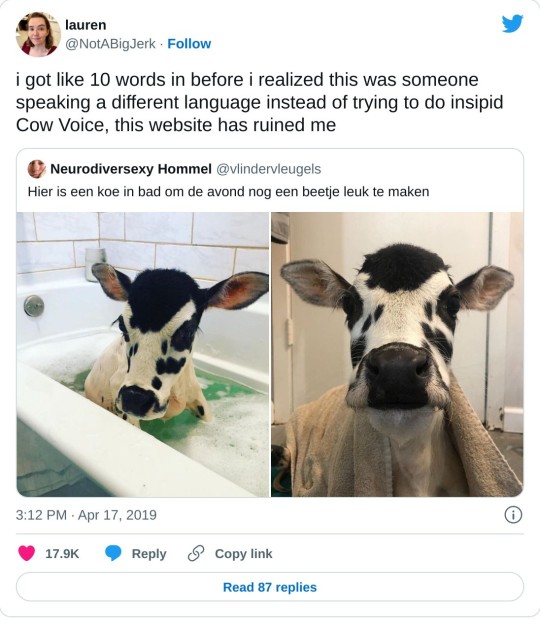 feliksvg:little-king-john:crazy-brazilian:ALTView on TwitterNo, Dutch is just Stupid