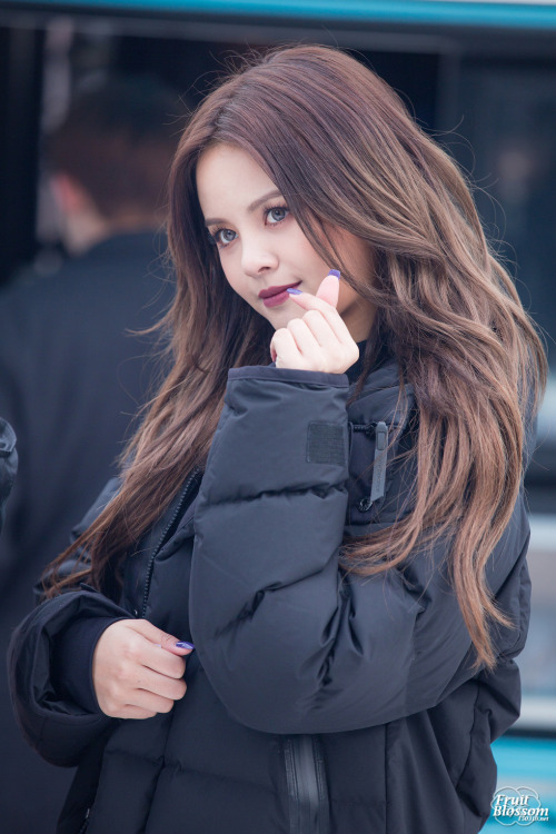 Fruit Blossom Do Not Edit 