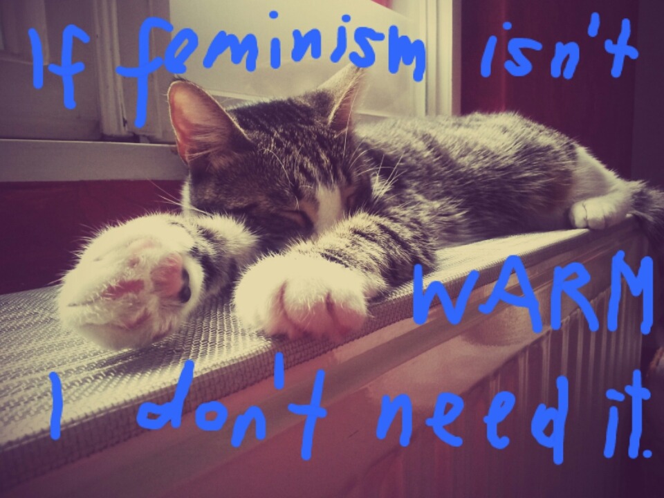 In winter only warm things are useful.
–
Reader submission. Confused Cats Against Feminism is brought to you by We Hunted the Mammoth, and by YOUR KITTIES. Submit!  And buy crap at the Confused Cats Store! It’s for charity!