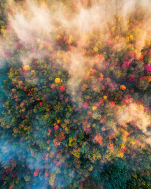 wordsnquotes:  Photographer Michael Matti and his roommate Drove Through Every State in the Northeast US to Photograph the Beauty of Autumn Keep reading  a u t u m n 