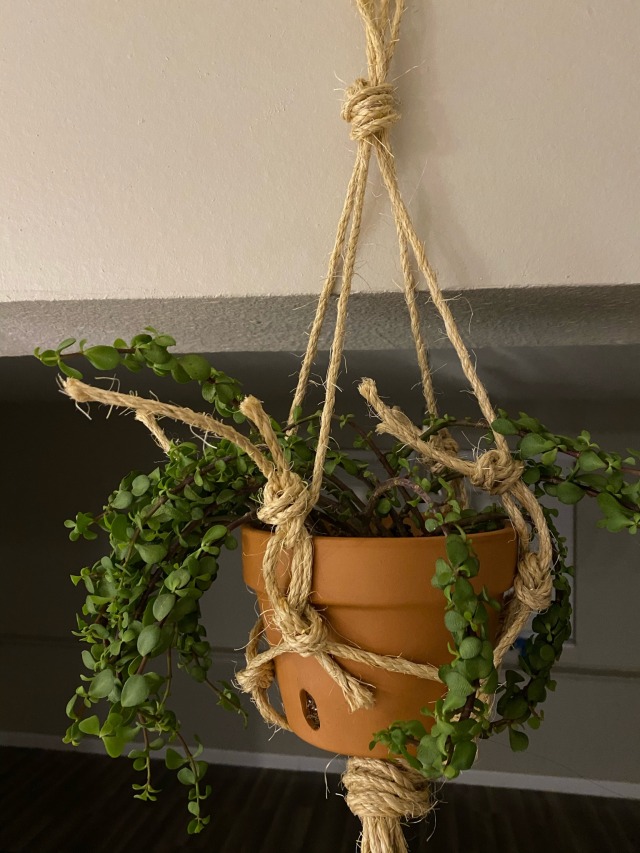 I made my own plant hanger thingy&hellip;.obvi not the best but I like it :]