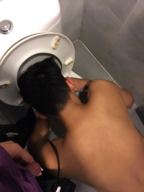 crazydoppelganger: I am a dog slut, in a public toilet somewhere in Singapore.