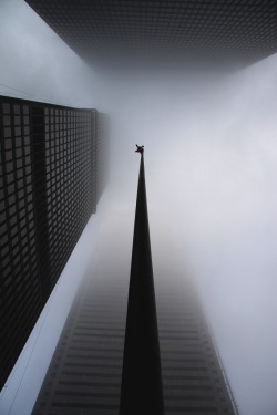 vistale:  Fog | via