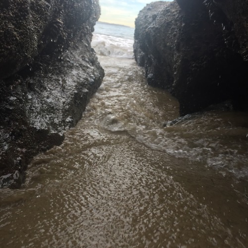 tobehumanspeed:tobehumanspeed:reallysmoll:secret beach pix of @tobehumanspeed!!miss so so much