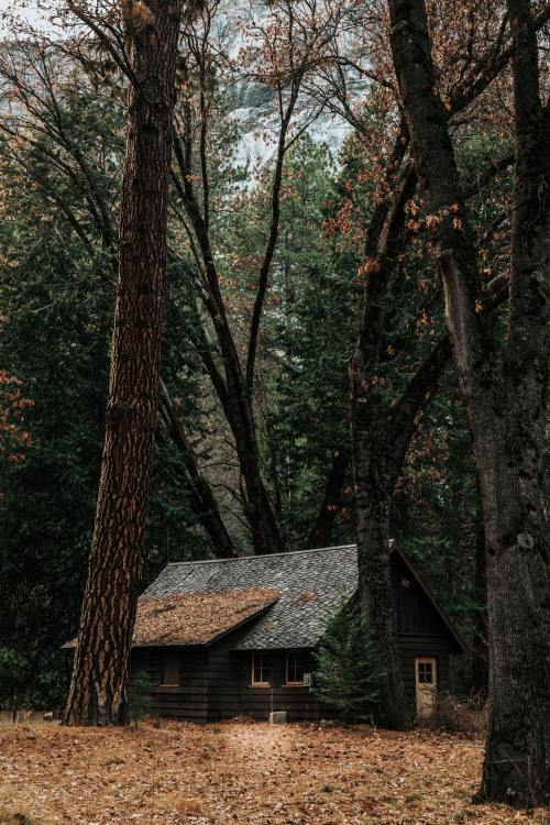 moody-nature: Untitled // By Nathan Dumlao