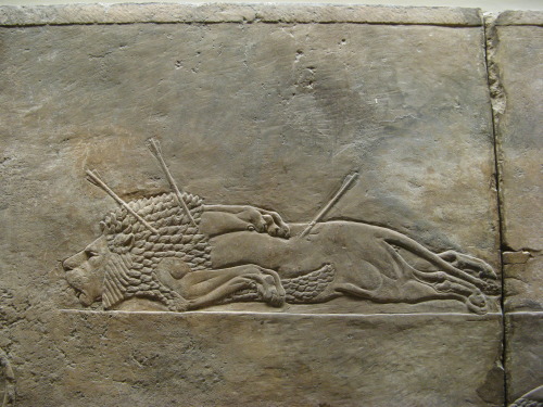 vincentiusmiskolciensis: Dying lions from Nineveh.