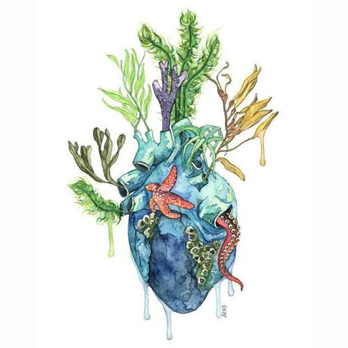 swallowtailed:  blue-tulips-and-pale-hearts: Nature hearts. [id: a set of six drawings of human hear