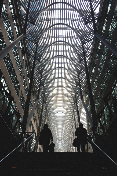 houseofdawn:  Brookfield - Toronto 