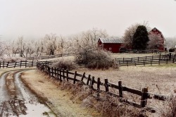 oldfarmhouse:Country Road