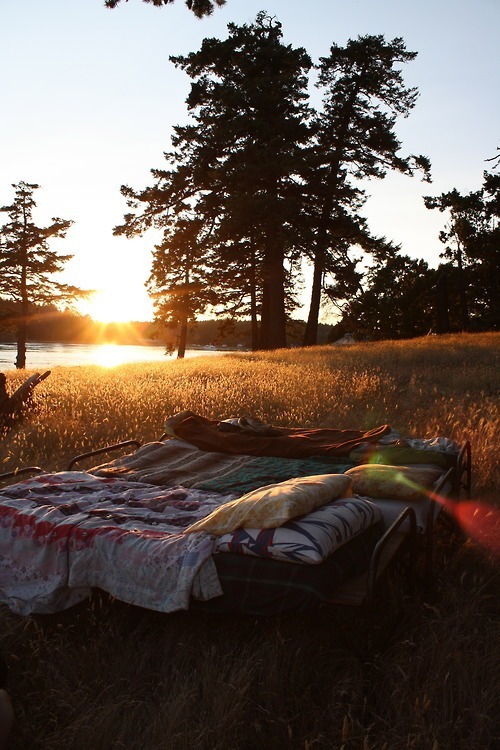 canhappenlove:  ♛ 