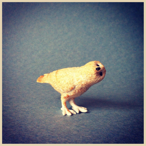 Snowy Owl, Safari, 2006, Toob ID 680404.