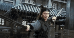 sifu-taichi-kungfu:  Donnie Yen VS Jet liFollow back
