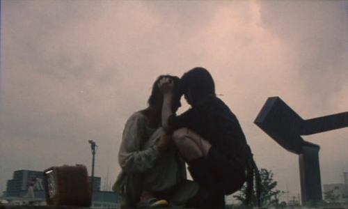neo-catharsis:Picnic/Pikunikku, Shunji Iwai, 1996