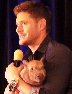 casfucker:  plaidbakerstreetcaptain:  barrel&ndash;rider: (x)  that pig looks