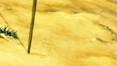 thevenuvianprincess:Fire is the element of power. The people of the Fire Nation have desire and will