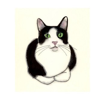 cat-stuff-for-cats:Tuxedo Cat Art - Green Eyes -   4 X 6 black and white cat print cats