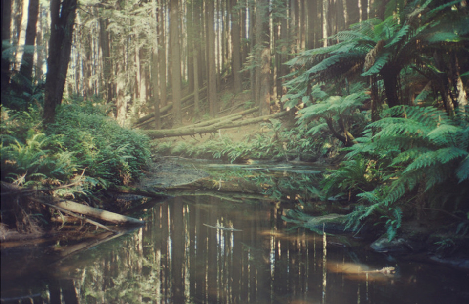if-you-leave:  #100 William James Broadhurst#100 of 200 images that have made the