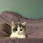 chiclito-uwu