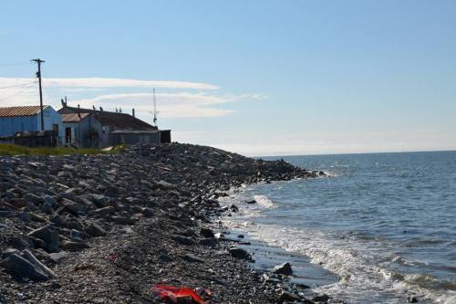 Climate Change RefugeesThe village of Shishmaref, located on Sarichef Island in Northern Alaska, is 