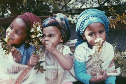 hijabihybrid:  The pictures that usually won’t make it to tumblr.  It is really hard to photograph kids lol they can’t sit still, or can’t do the same thing. My sisters (Left to right)  Halima 4, Selma 2, and Alina 4. 