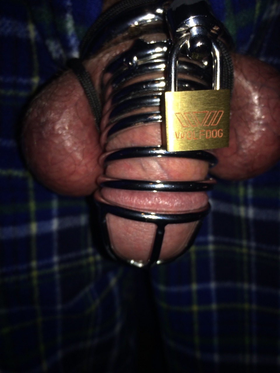 klon13:I wonder how long my cock and balls can take it…tied up and in a cock cage.